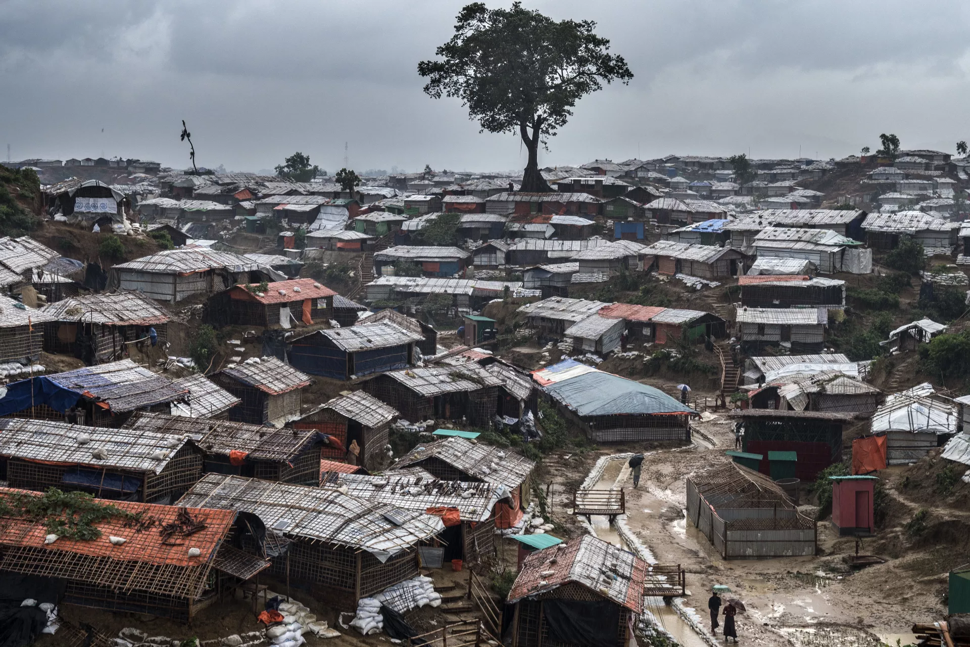 Bangladesh’s Policy Response to the Rohingya Crisis