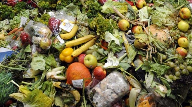 Reducing food waste is a means of nutrition and security