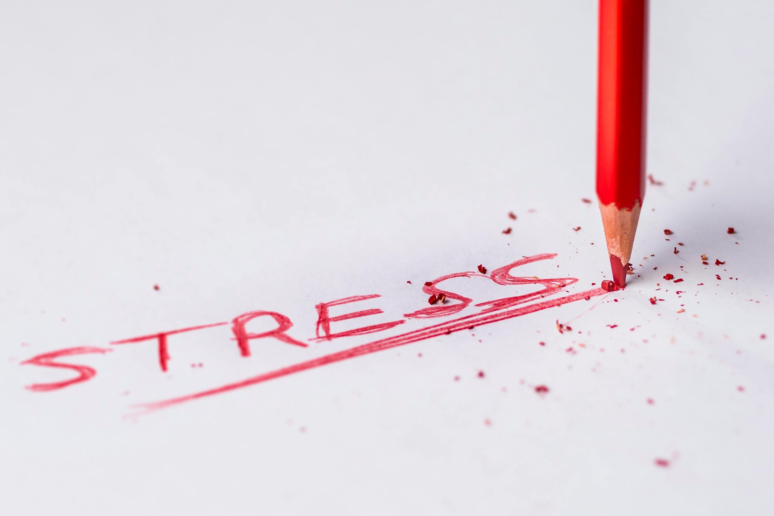 Financial stress cuts 56% private employees’ productivity: MetLife survey