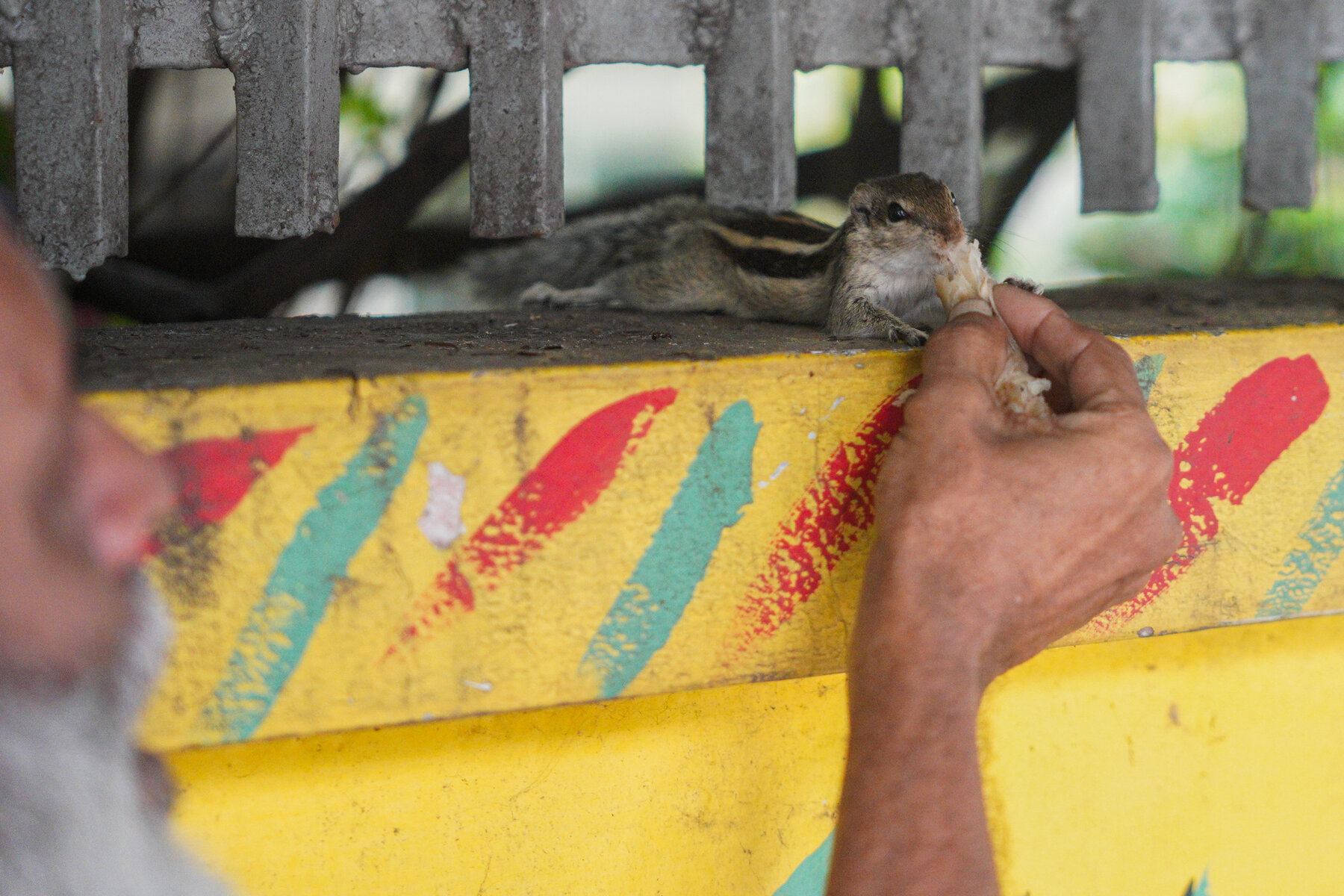 The footpath angel of Dhaka