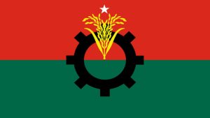 BNP flag