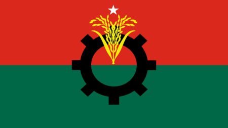 BNP flag