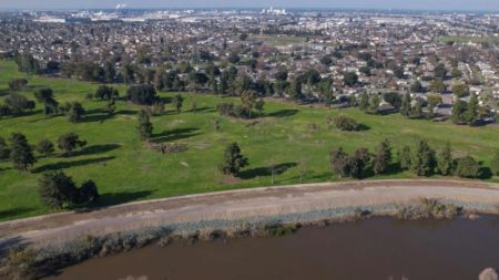 4 dead after 14 people shot at California family gathering California shooting
