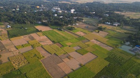 Celebration