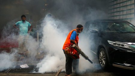 Dengue