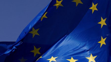 EU states retreat from mandatory child abuse scanning EU
