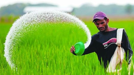 Fertiliser being sold at higher than govt rate in Joypurhat Advisers Council fertiliser purchase
