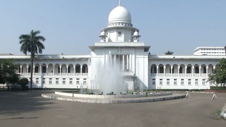 HC on unborn child gender