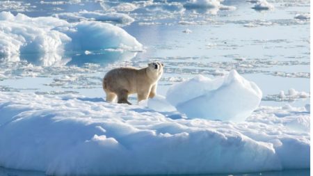 Iceland deems possible Atlantic current collapse a national security risk