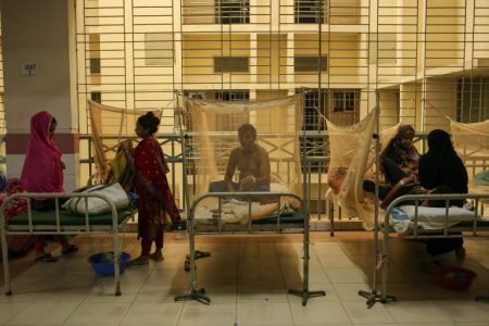 Dengue: 4 dead, 920 hospitalised in 24hrs health sector reform