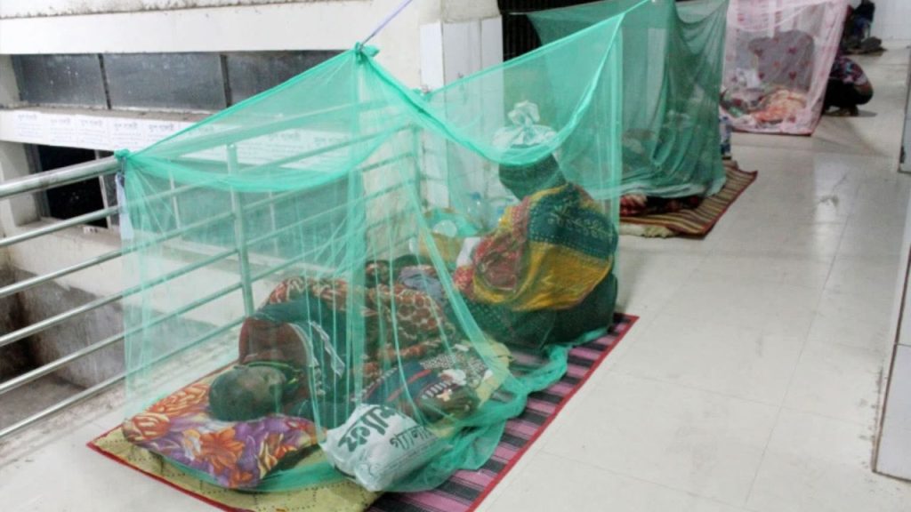 Dengue deaths surpass 400 Dengue Jashore