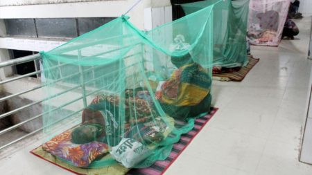 Dengue deaths surpass 400 Dengue Jashore