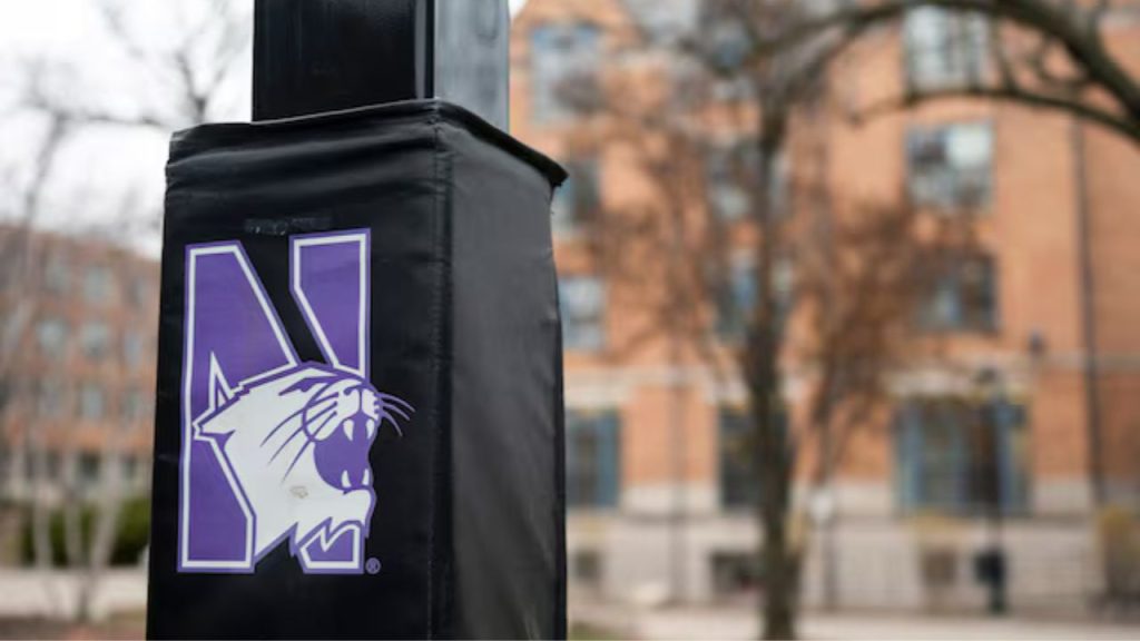 Northwestern wildcat logo