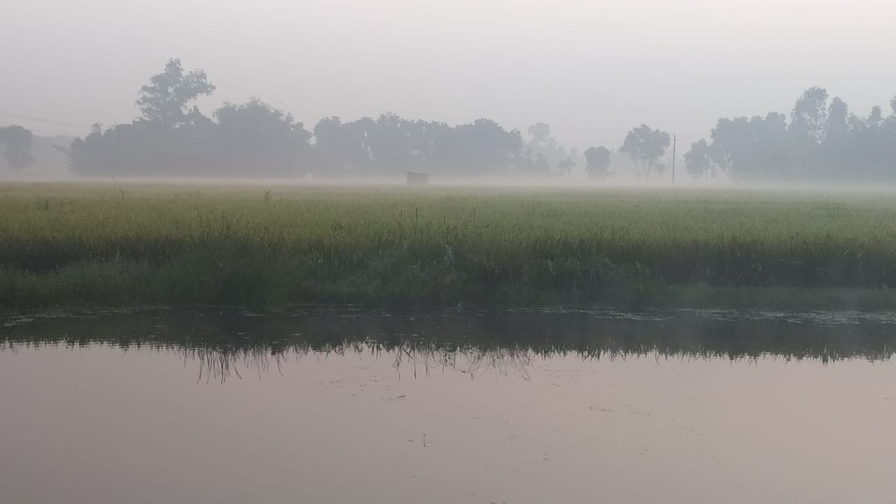 Panchagarh shivers at 14.5°C, coldest morning yet this season