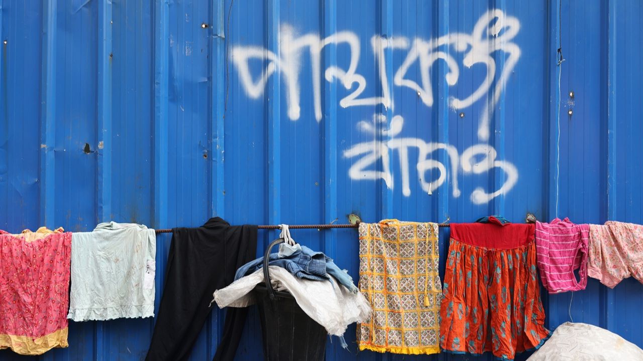 Anwara and Panthokunjo: Dhaka’s parks at risk