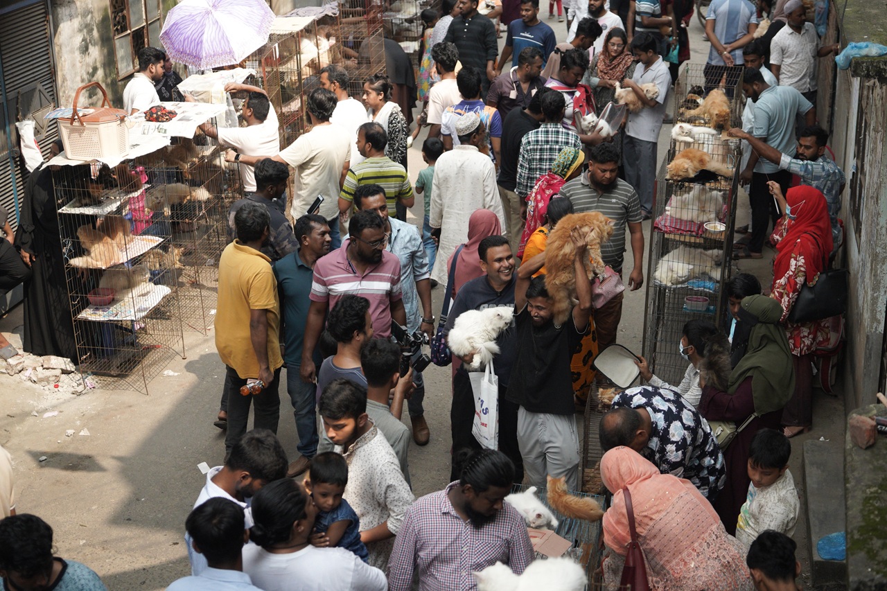 Mirpur-1 