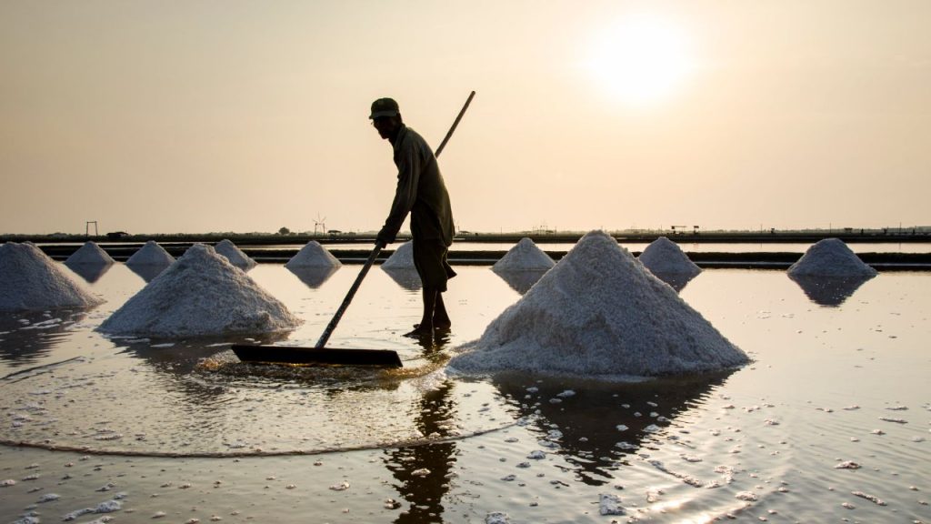 Salt industry in trouble as price plumets to half Salt industry
