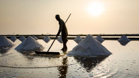 Salt industry in trouble as price plumets to half Salt industry