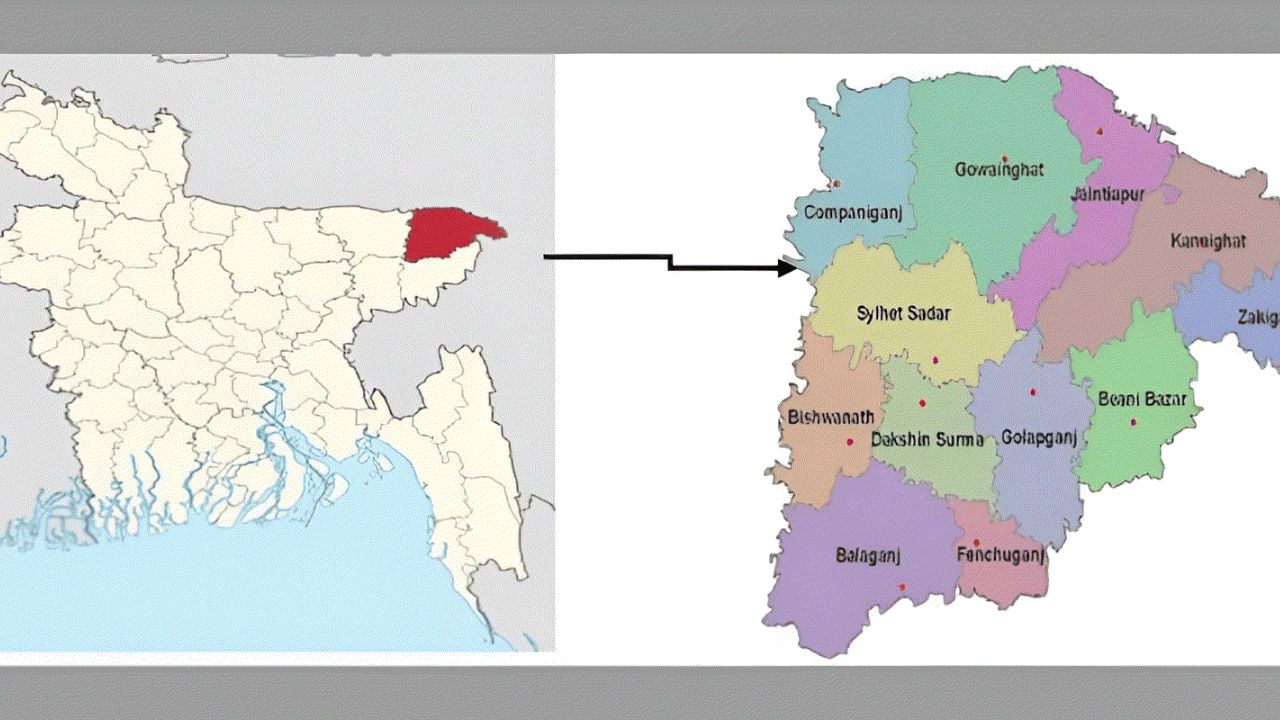 Local BNP leader dies after brick attack in Sylhet