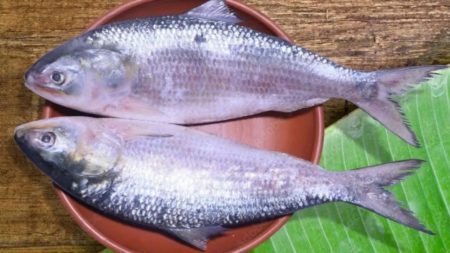 Hilsha prices rise at traders’ whims Hilsa