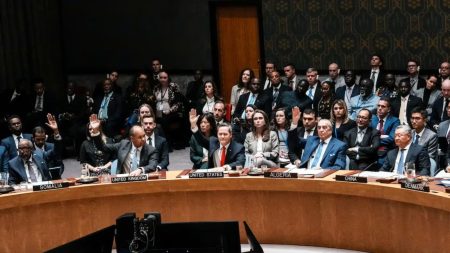 UN Security Council adopts US resolution on Trump’s Gaza plan US security council
