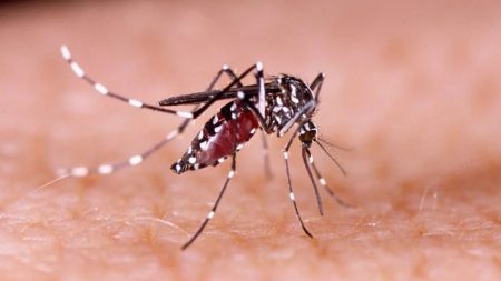 3 more die of dengue, 458 hospitalised in 24hrs dengue deaths