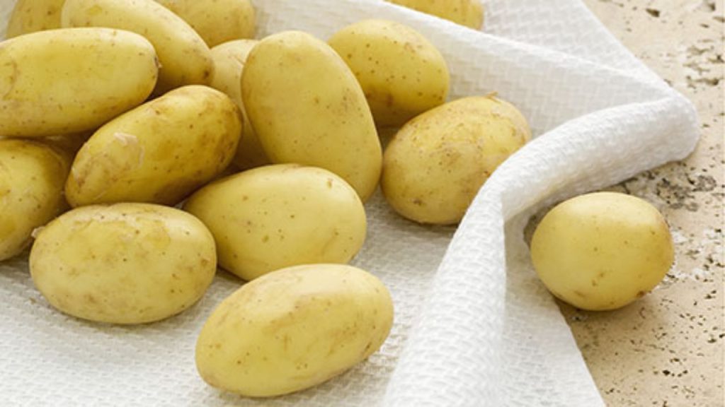 Potato exports in a boom-bust cycle despite record output Potato exports