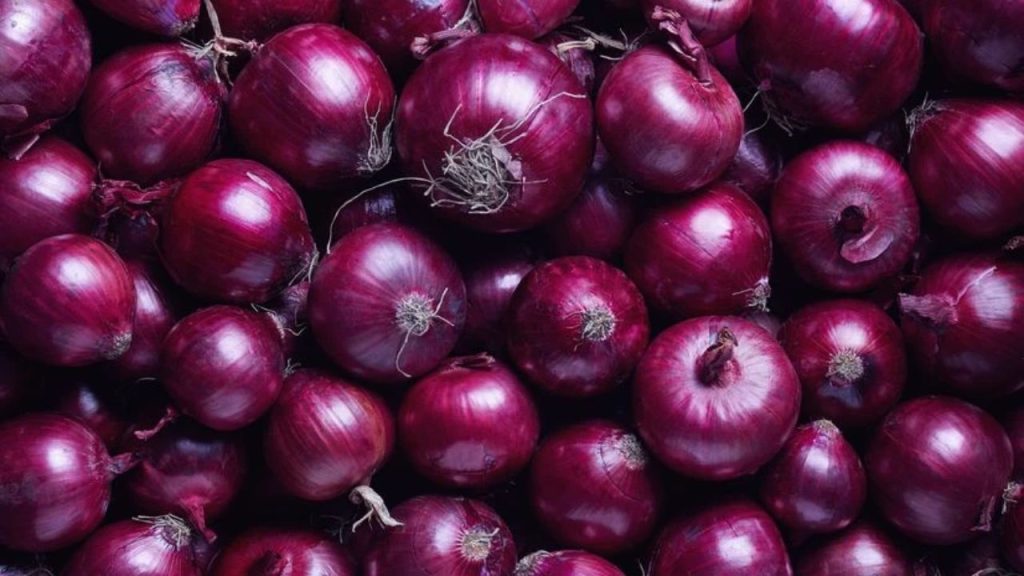 Onion