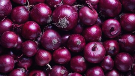 Onion