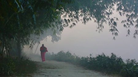Winter onset triggers steady rise in cold-related illnesses Winter illnesses