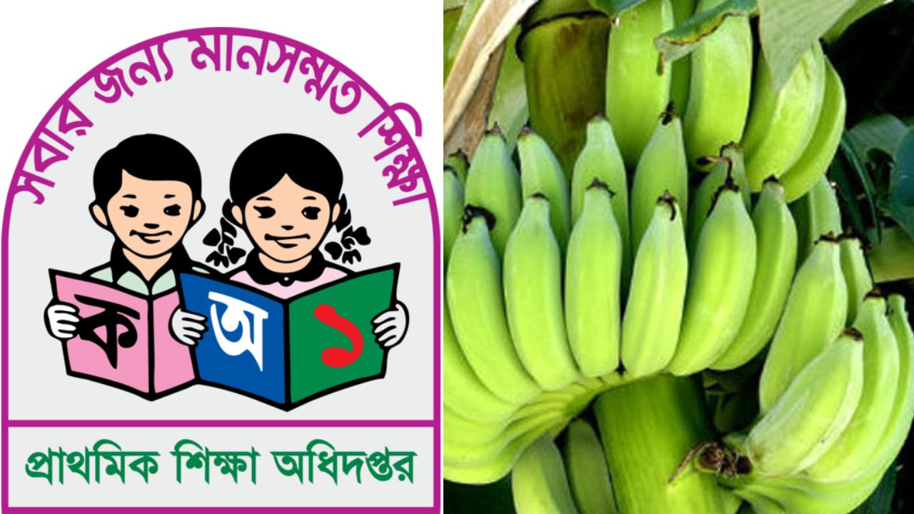 Mid-day meal woes: schools get reduced portions, unripe bananas
