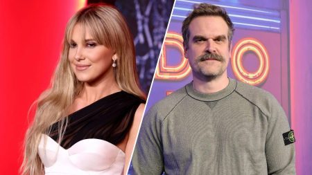 Millie Bobby Brown accuses David Harbour of bullying and harassment Millie Bobby Brown accuses David Harbour
