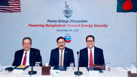 AmCham calls for clearer investment pathways