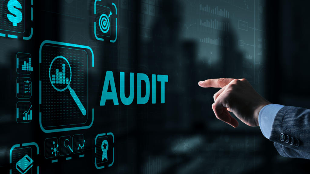Accountability, transparency/IMF flags persistent audit flaws at NBR NBR audit flaws
