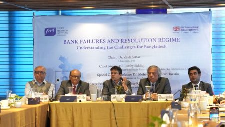 Experts warn economy at risk without bank resolution bank resolution framework