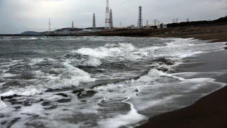 Japan prepares to restart world’s biggest nuclear plant, 15yrs after Fukushima Japan nuclear plant