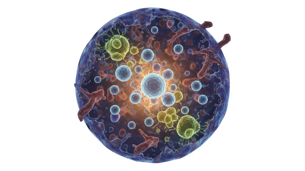 The 72-hour trick/Rebuild your immune system prolonged fasting