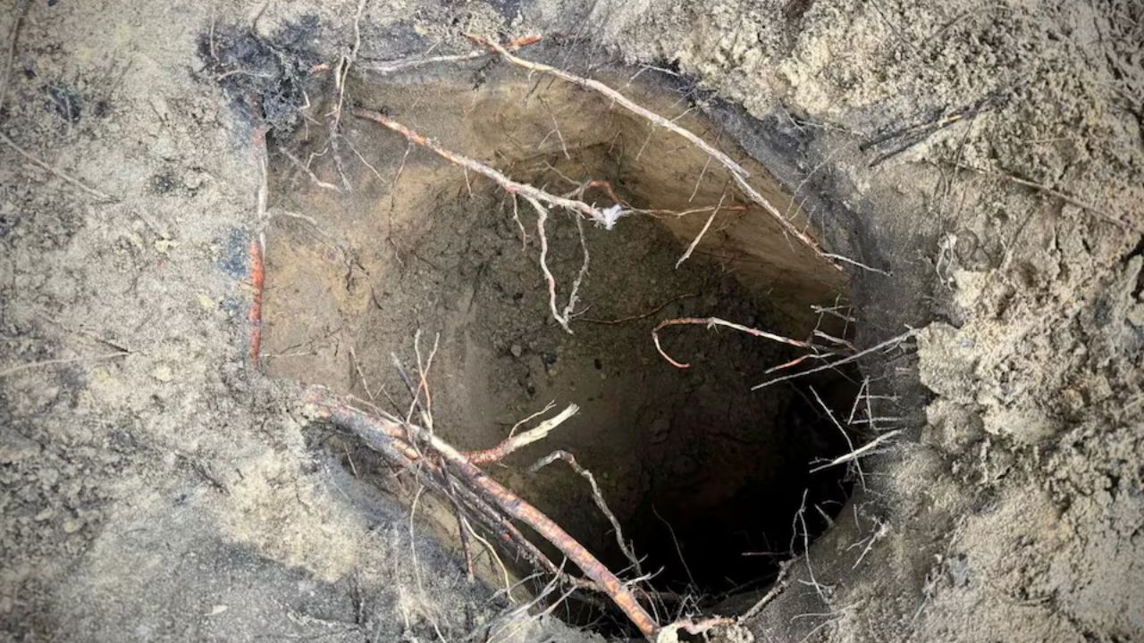 Migrants cross into Poland through hidden Belarus border tunnel