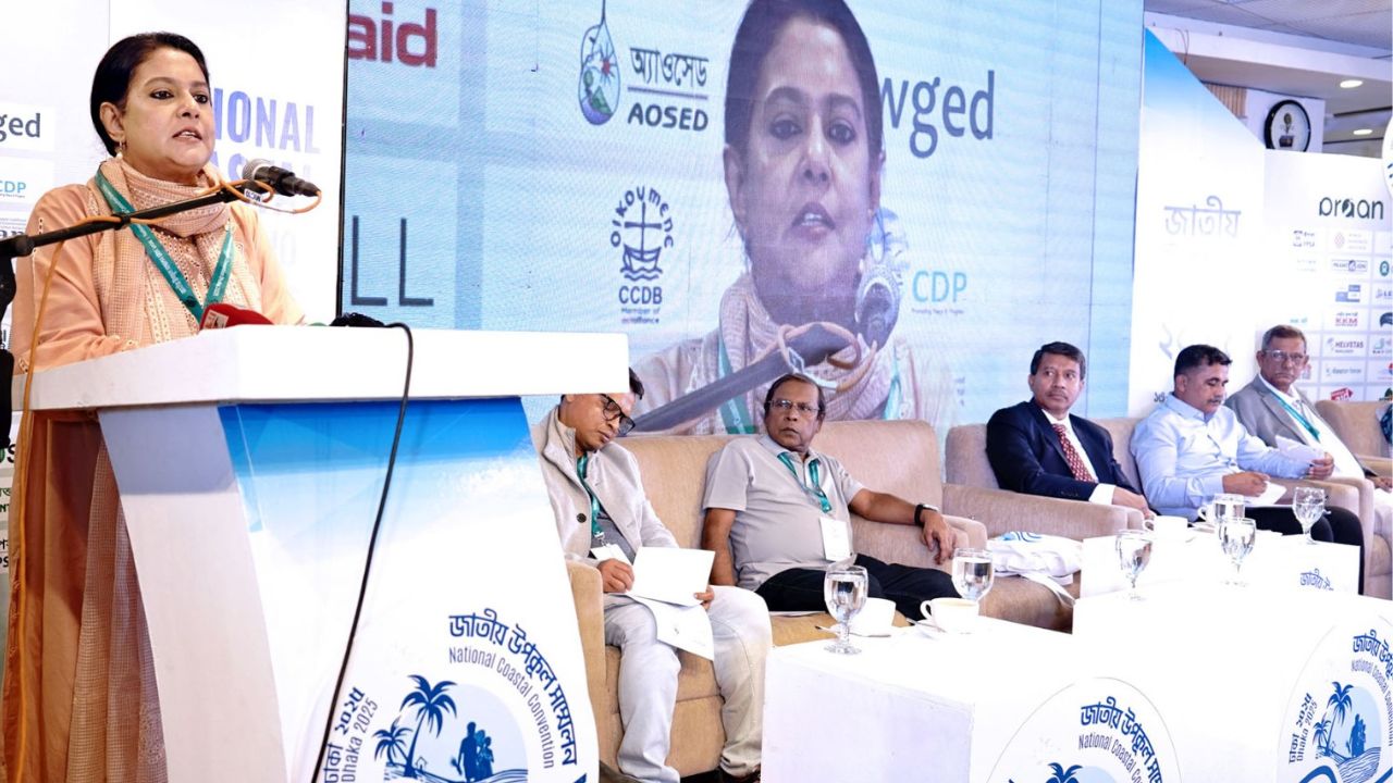Afforestation, agricultural conservation vital to protect coast: Rizwana