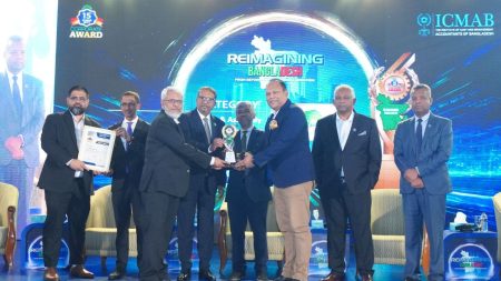 Robi bags ICMAB silver for IT, telecom excellence Robi