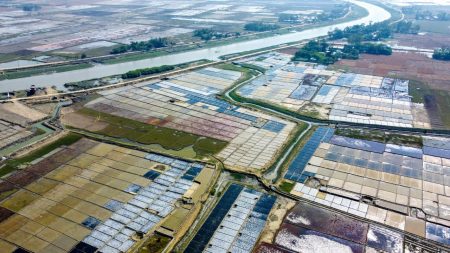 Salt cultivation in Maheshkhali/A threat beneath the white crystals Salt Fields