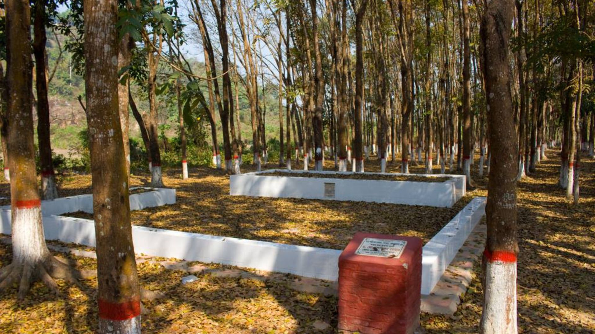 Shrine of Seven Martyrs, Netrokona