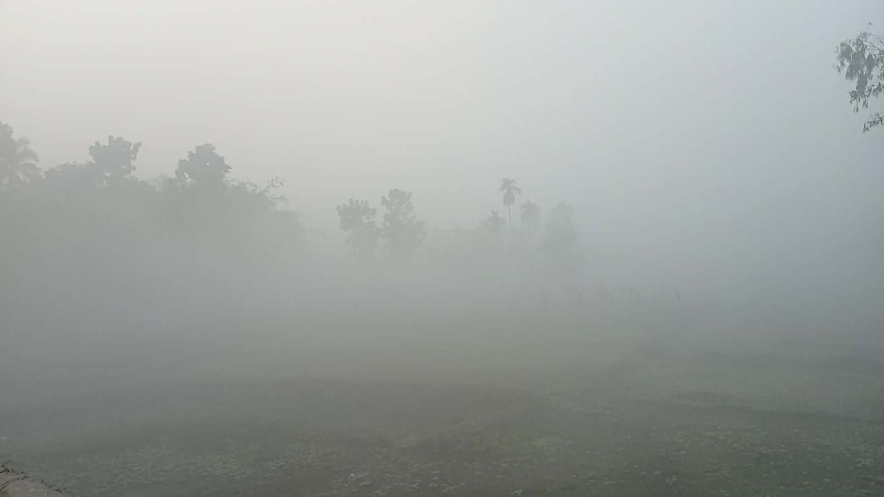 Tetulia records 11.7°C as cold grips northern districts