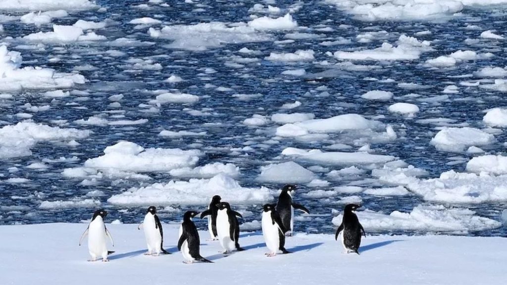 Antarctica Peninsula