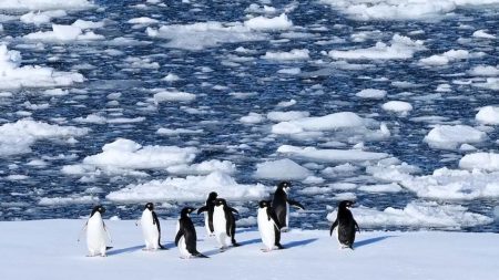 Antarctica Peninsula
