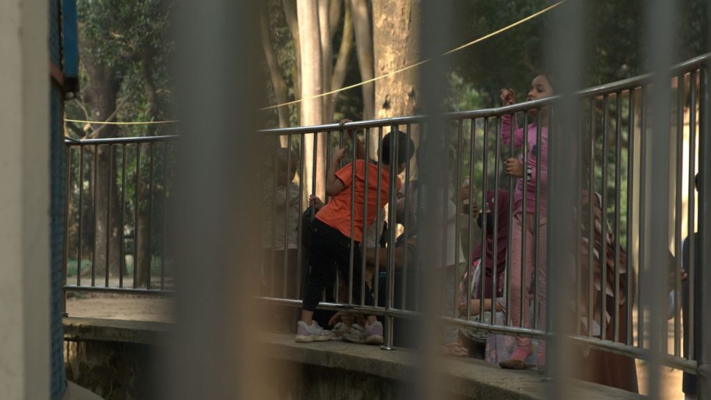 Uncaged mismanagement/A zoo in collapse Zoo