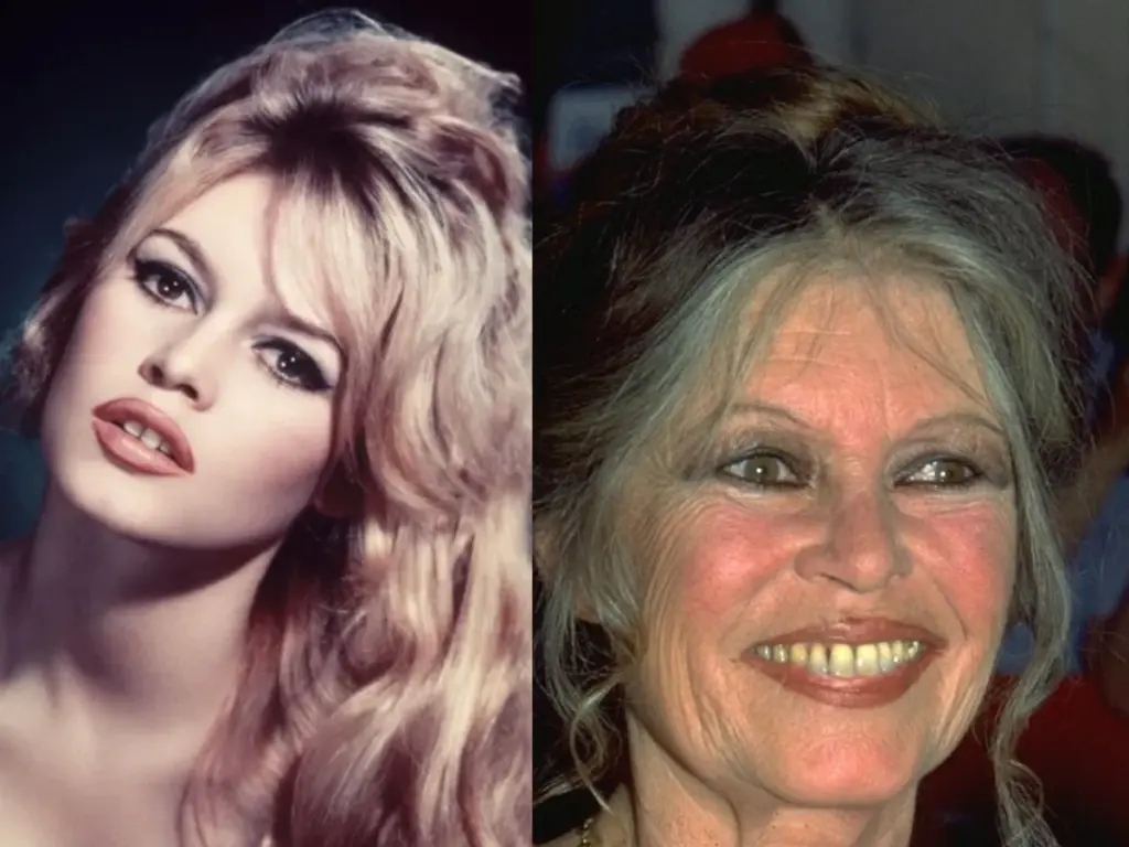 French film icon Brigitte Bardot passes away