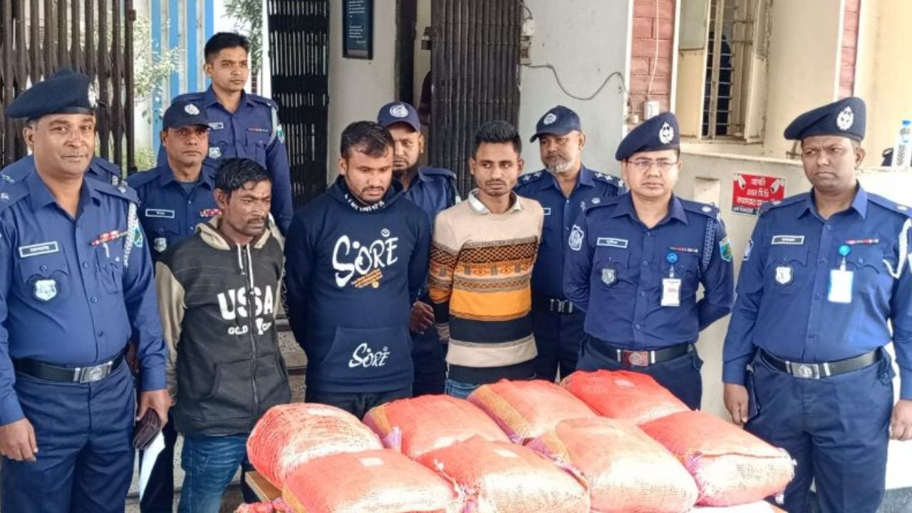 Three arrested with 43kg cannabis in Sirajganj