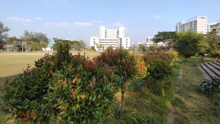PUST tree plantation initiative