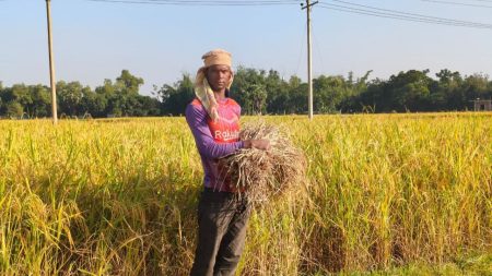 Farm loans